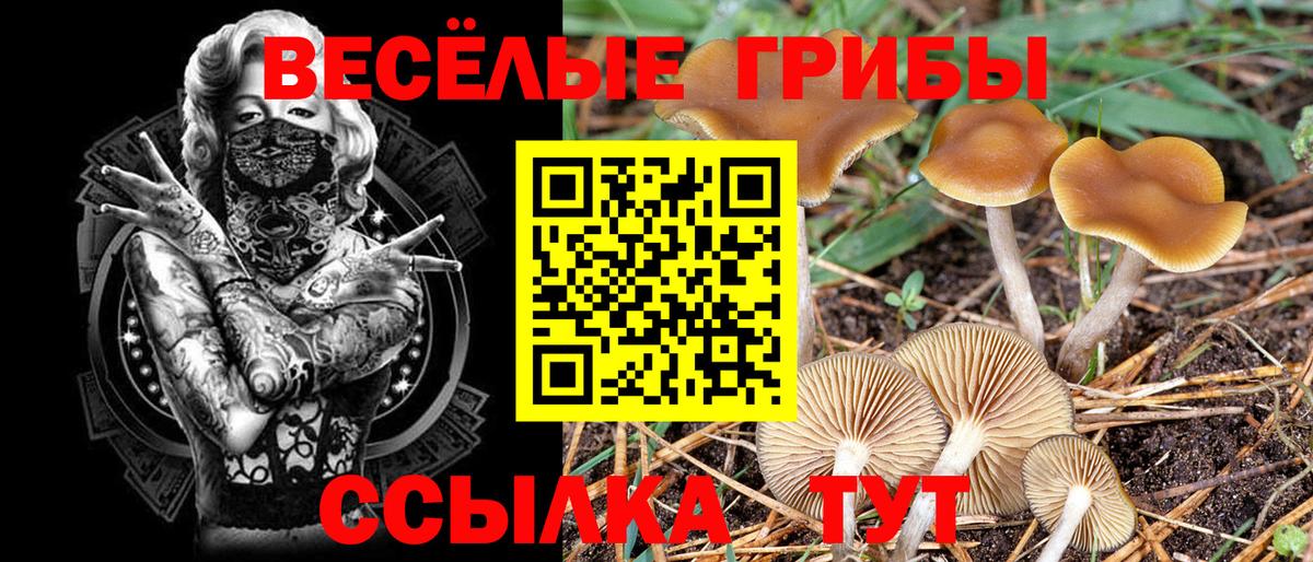 Псилоцибиновые грибы MAGIC MUSHROOMS  Вход с VPN  магазин    Димитровград 
