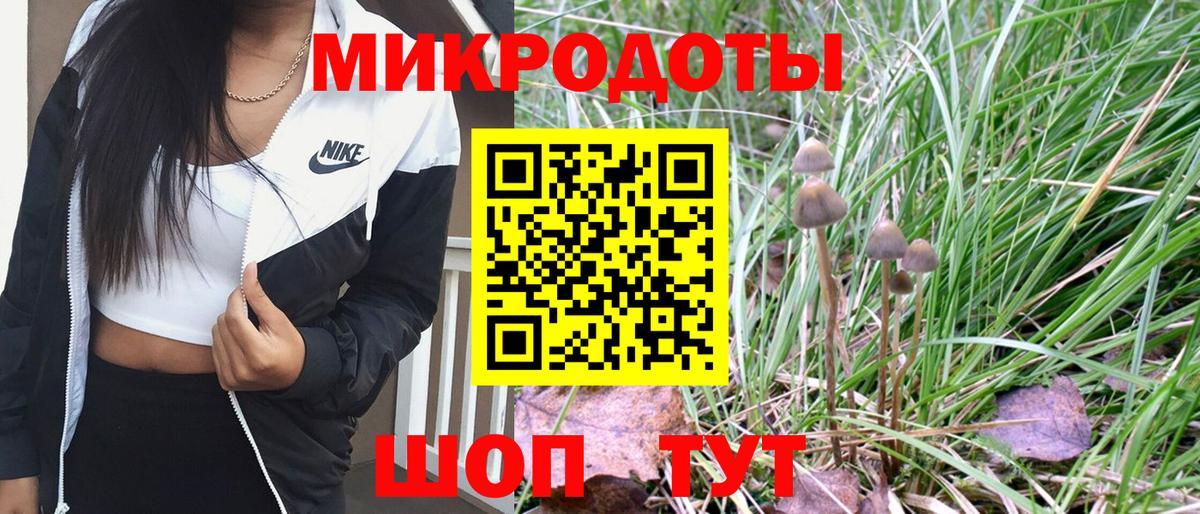 Галлюциногенные грибы ЛСД Димитровград